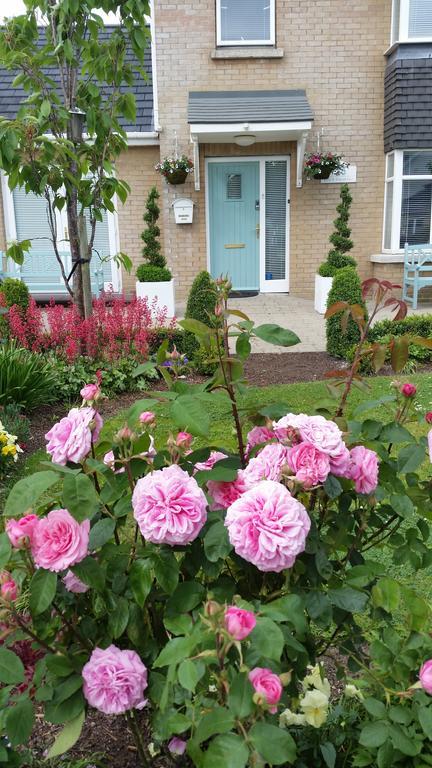 No.5 Bed & Breakfast Kilcullen Bagian luar foto