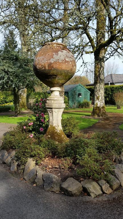 No.5 Bed & Breakfast Kilcullen Bagian luar foto
