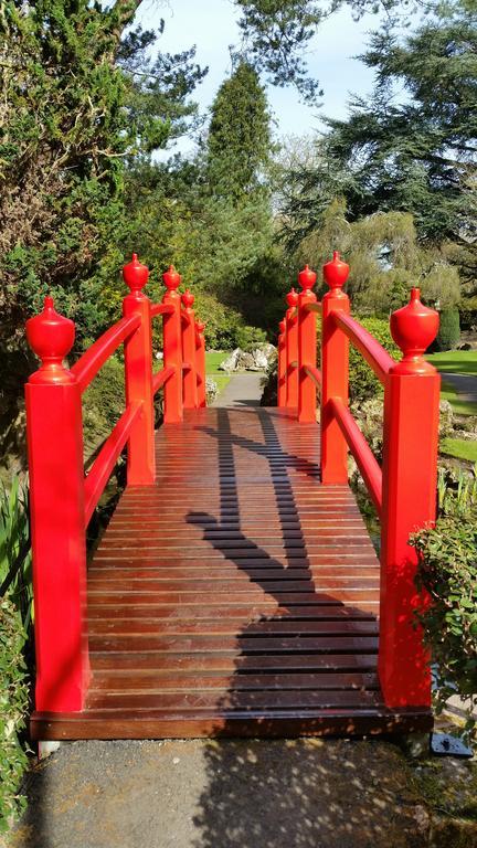 No.5 Bed & Breakfast Kilcullen Bagian luar foto
