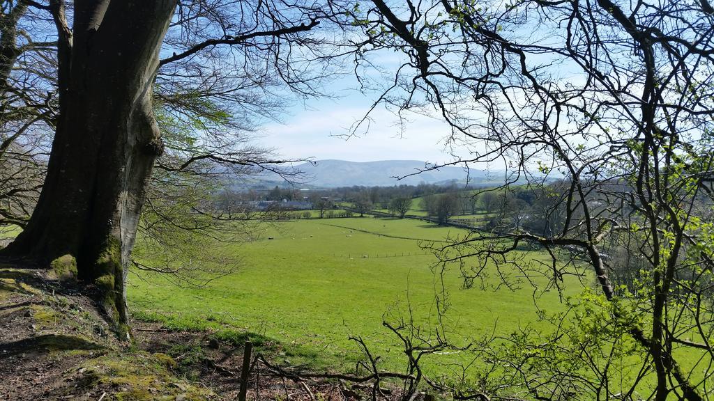 No.5 Bed & Breakfast Kilcullen Bagian luar foto