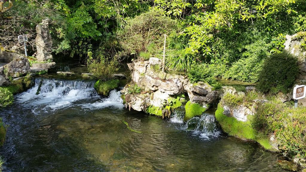 No.5 Bed & Breakfast Kilcullen Bagian luar foto